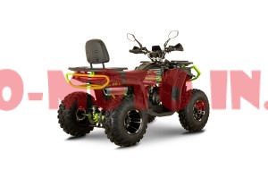 Квадроцикл Forte AFC 250 Pro